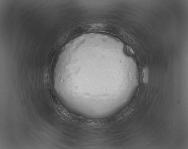 X0000083001395200702230114