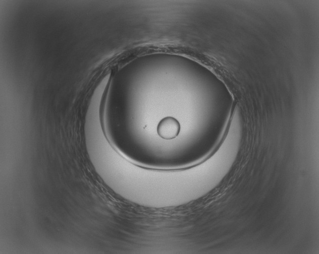 X0000083001398200702230114