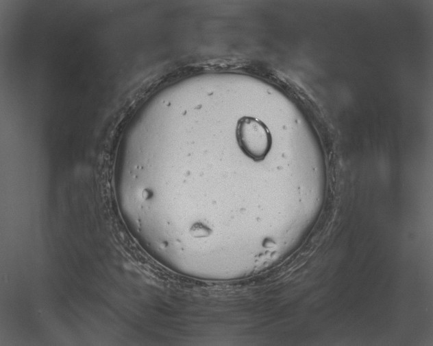 X0000083001399200702230114