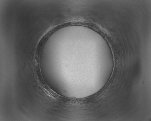 X0000083001400200702230114