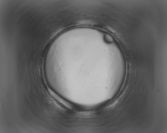 X0000083001401200702230114