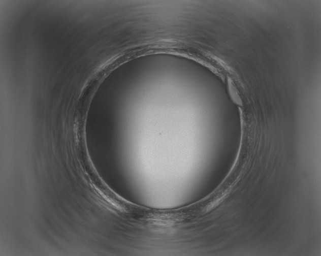 X0000083001402200702230114