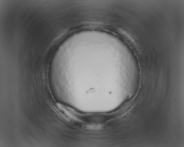 X0000083001403200702230114