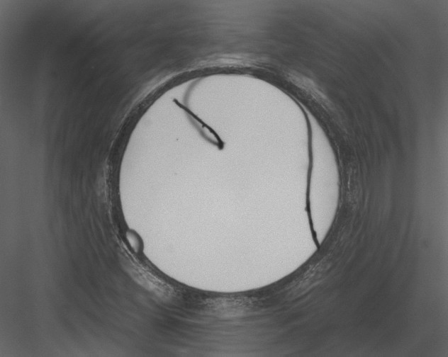 X0000083001404200702230114