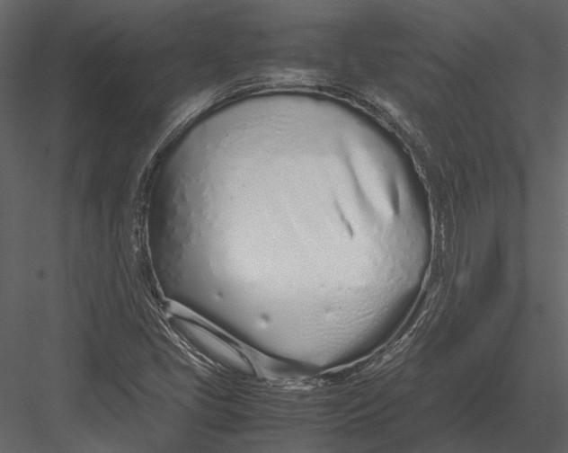 X0000083001405200702230114