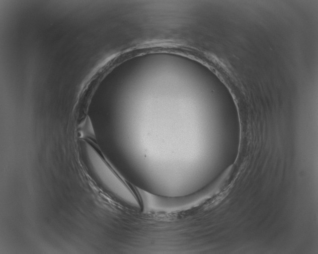 X0000083001406200702230114