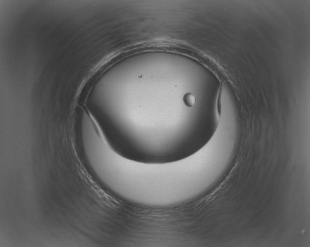 X0000083001410200702230114