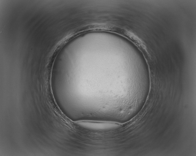 X0000083001411200702230114