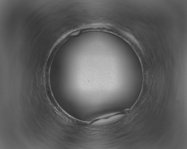 X0000083001412200702230114