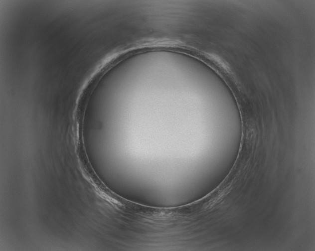 X0000083001414200702230114