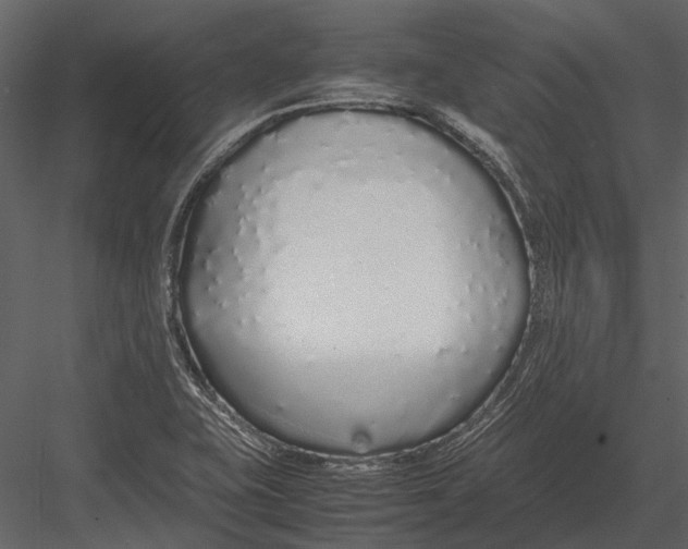 X0000083001415200702230114