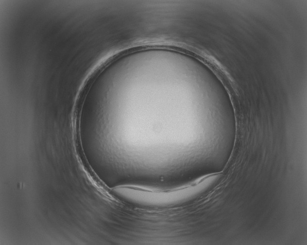 X0000083001416200702230114