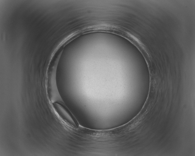 X0000083001418200702230114