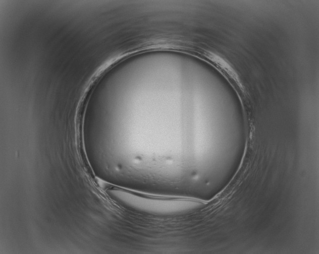 X0000083001419200702230114