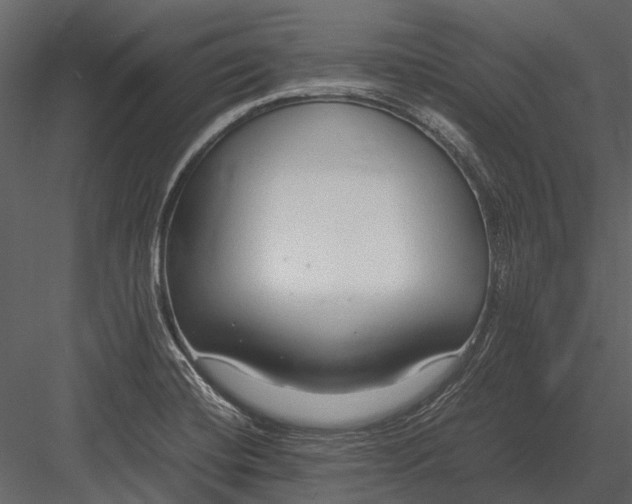 X0000083001420200702230115