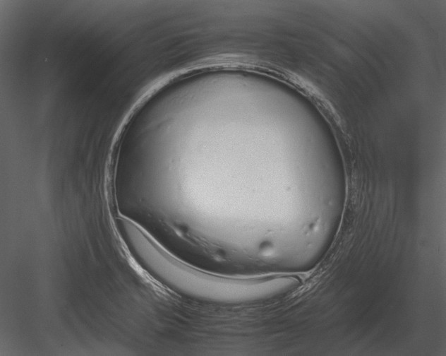 X0000083001421200702230115