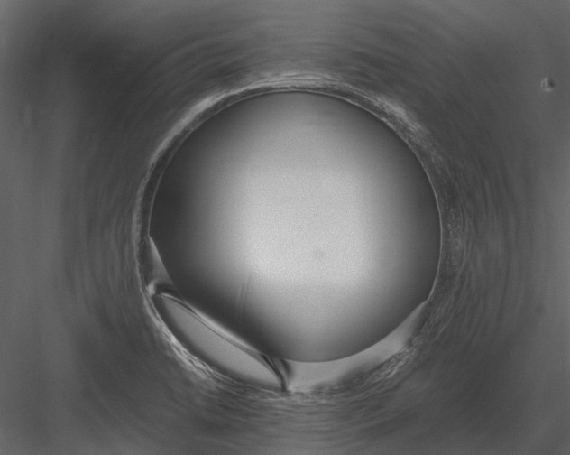 X0000083001422200702230115