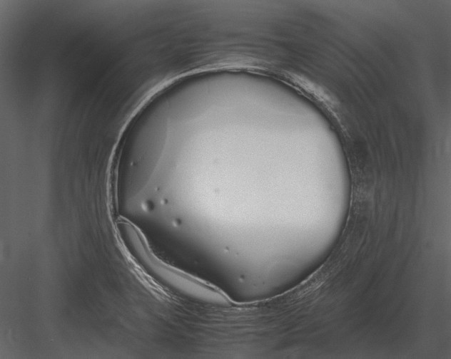 X0000083001423200702230115