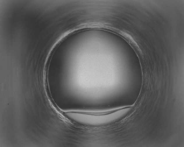 X0000083001424200702230115