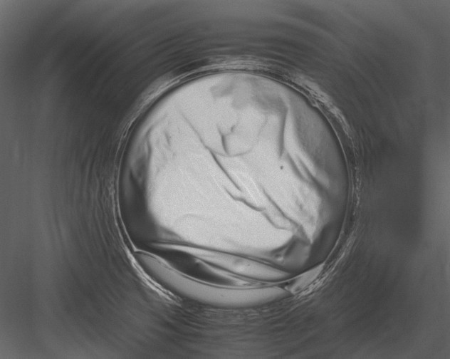 X0000083001425200702230115