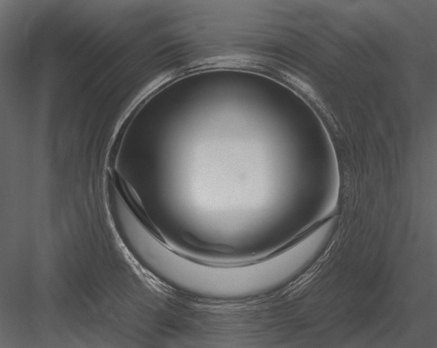 X0000083001426200702230115