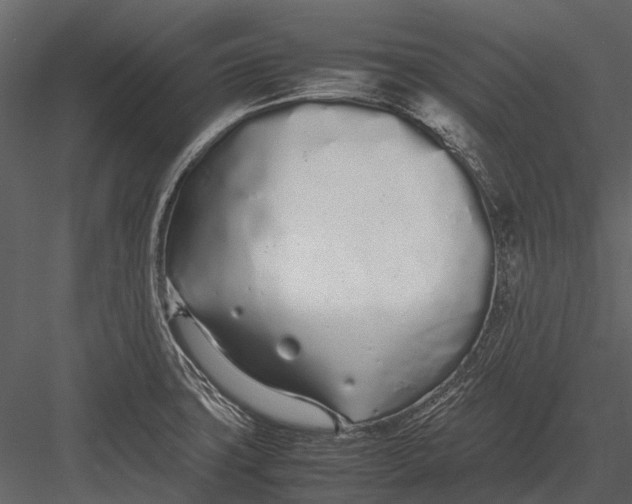 X0000083001427200702230115