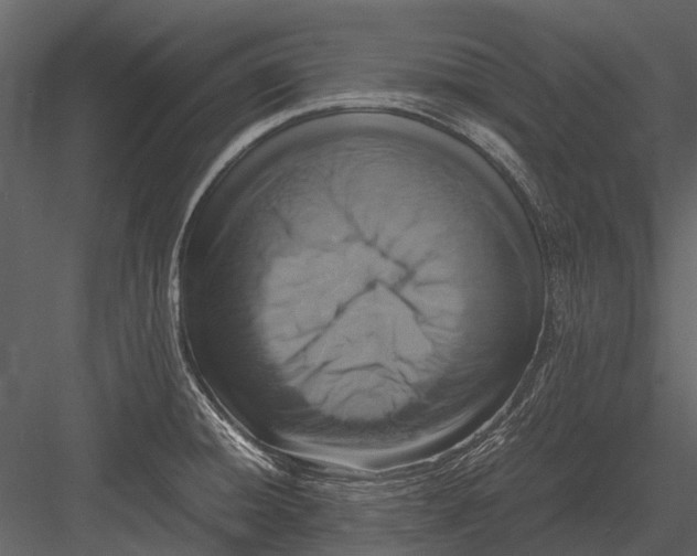 X0000083001428200702230115