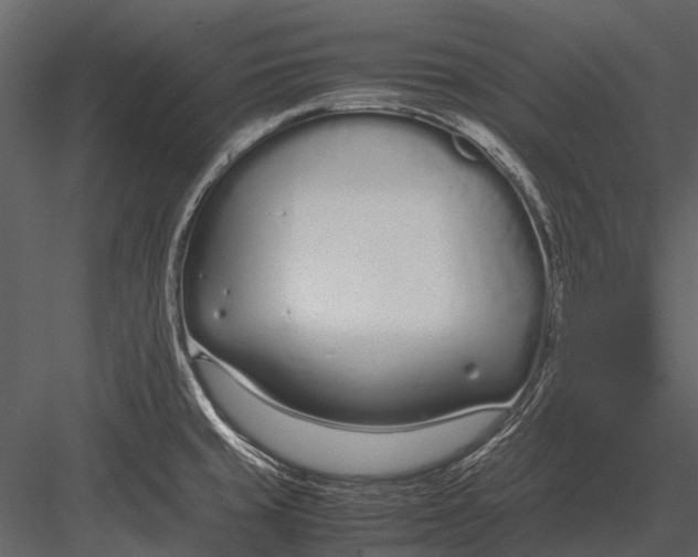 X0000083001429200702230115