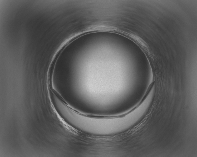 X0000083001430200702230115