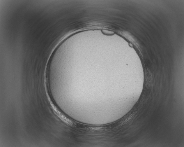 X0000083001431200702230115