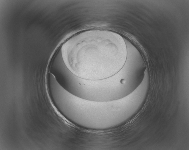 X0000083001432200702230115