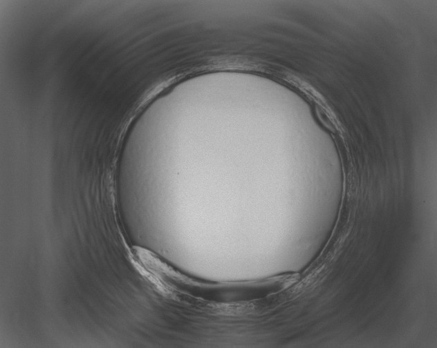 X0000083001433200702230115