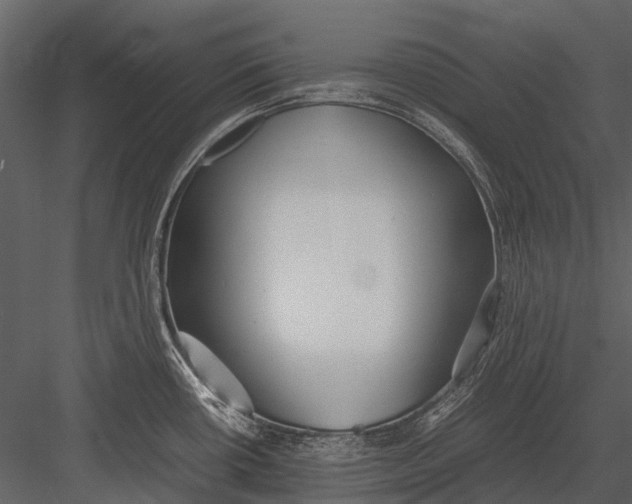 X0000083001434200702230115