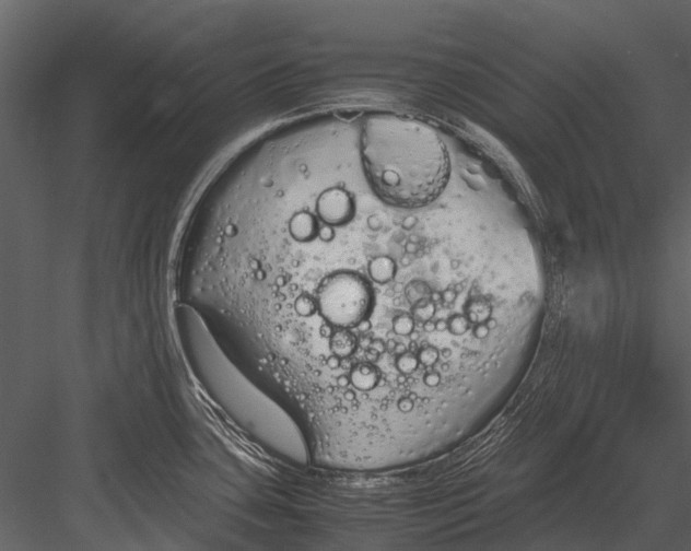 X0000083001435200702230115