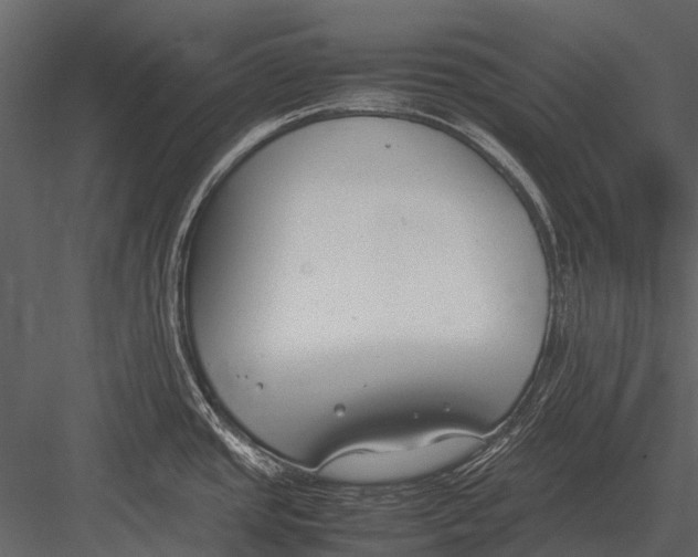 X0000083001437200702230115