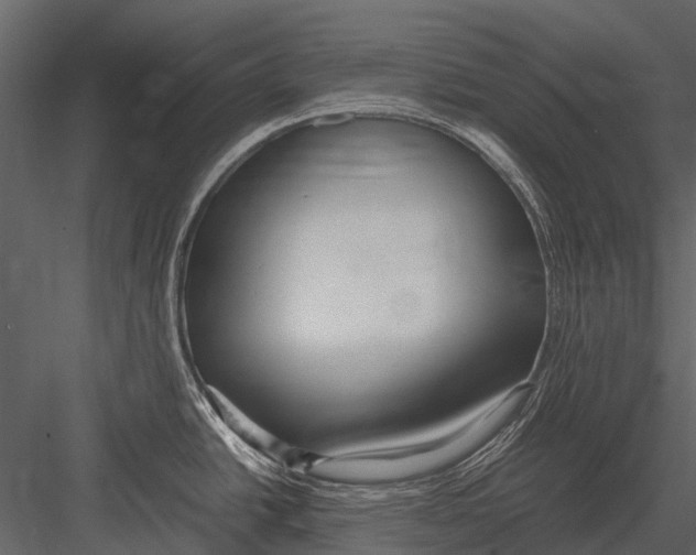 X0000083001438200702230115