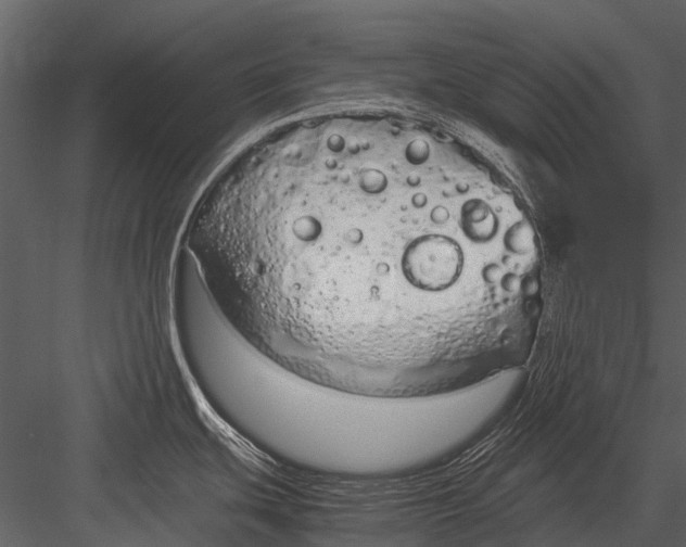 X0000083001439200702230115