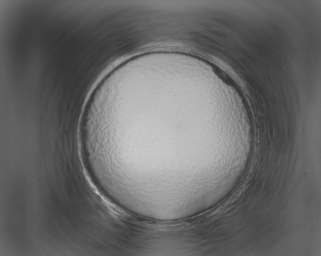 X0000083001440200702230115