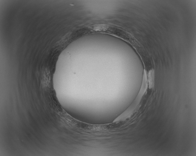 X0000083001443200702230114