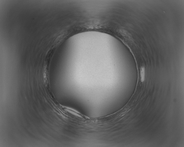 X0000083001444200702230114