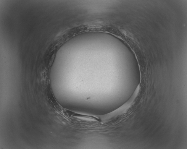 X0000083001445200702230114