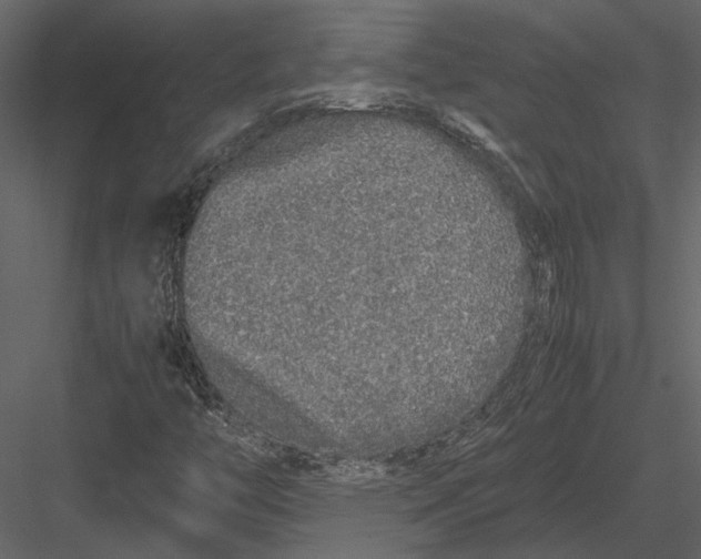 X0000083001446200702230114