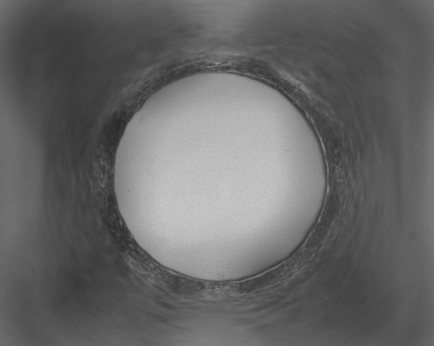 X0000083001447200702230114