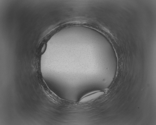 X0000083001448200702230114