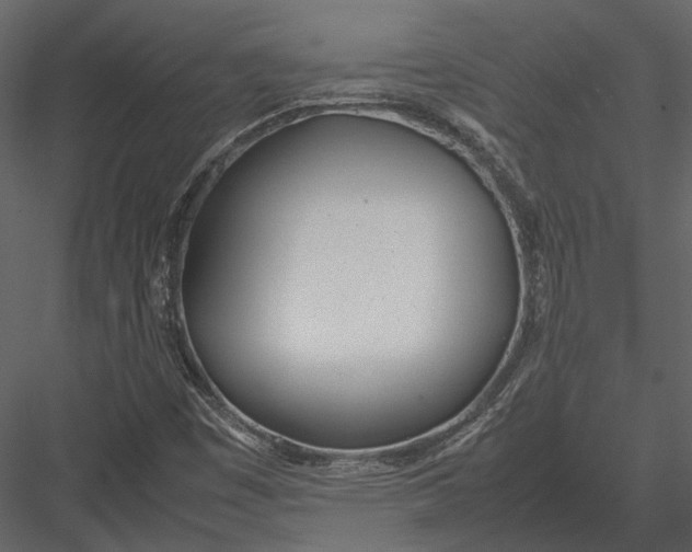 X0000083001449200702230114