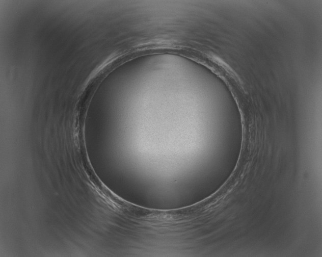 X0000083001450200702230114