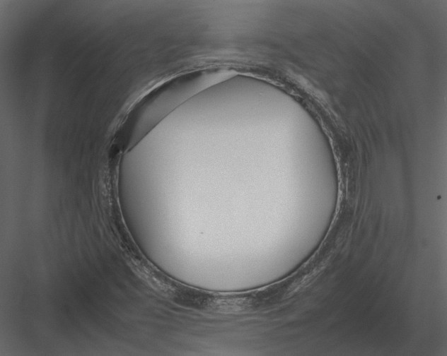 X0000083001453200702230114