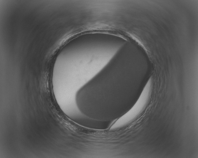 X0000083001455200702230114