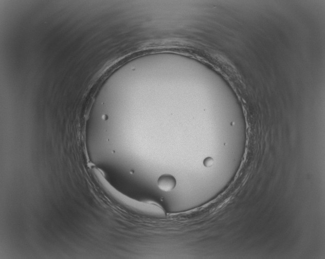 X0000083001457200702230114