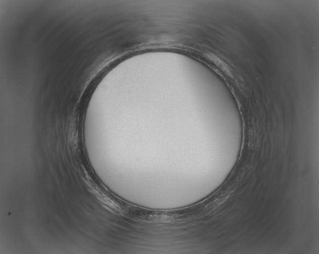 X0000083001458200702230114